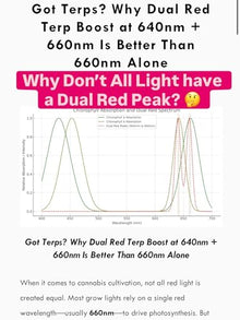 Mammoth Lighting Nova Sun Series LED Grow Light | Full Spectrum CMH Sunlike Grow Lamp with Far Red & UV Option | Dimmable High PPFD (4 Bar / 330w / 3x3 / 34" x 34")