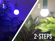 Miracle LED Plant Life Cycle 3-Socket Synchronized Grow Light Kit with 3 Blue Spectrum Ultra Grow Bulbs and 3 Full Spectrum Multi-Plant Bulbs and Sproutmatic All-Weather Timer Controls (4-Pack)