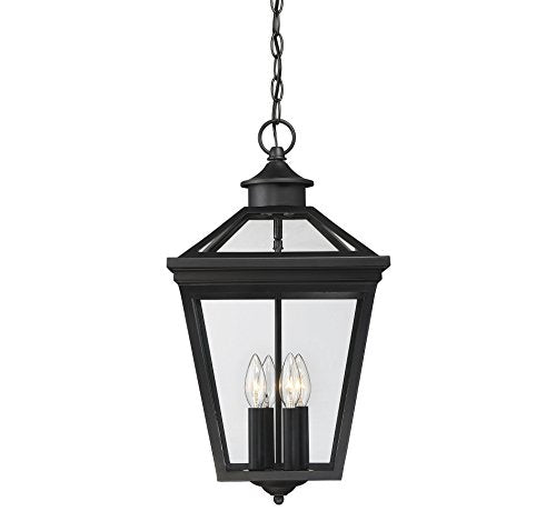 Savoy House 5-145-BK Ellijay Modern Rustic Clear Glass Outdoor Hanging Lantern, 4-Light 160 Total Watts, 21" H x 12" W, Black
