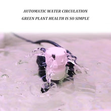 Gerrit Indoor Gardening System,Aeroponics Growing Kit,Indoor Garden Hydroponic Growing System,hydroponic Indoor Garden,with Hydrating Pump, Adapter, Net Pots, Timer.