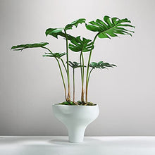 YXIANG56Q Fake Plants Artificial Plant Lifelike Natural Simulation Turtle Back Leaf with Ceramic Flower Pot Green Plant Bonsai for Modern Home Office Decoration Bonsai Tree