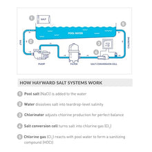 Hayward Aquarite Salt Chlorine Generator for Swimming Pools 15,000 Gallons