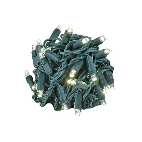 Novelty Lights Coaxial 24 Pack 25 Feet 50 Warm White LED Christmas String, Commercial Grade Green Wire, Waterproof Connections, Modular Product Line, Connect 43 Sets