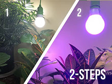 Miracle LED Plant Life Cycle 2-Socket Synchronized Grow Light Kit with 2 Full Spectrum Ultra Grow Bulbs and 2 Red & Blue Spectrum Multi-Plant Bulbs with Sproutmatic All-Weather Timer Controls (4-Pack)