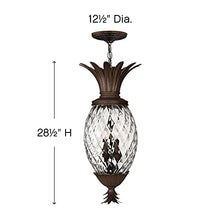 Bailey Street Home 4 Light Outdoor Hanging Lantern Bronze