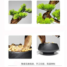 DUYHBAWRS Simulated Bonsai Welcome Pine Decorations Porch Desk Office Living Room Hotel Decoration