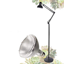Led Grow Lights Spectrum Grow Lamp Succulent Lamp Plant Fill Light Led Plant Growth Lamp Color Full Spectrum Home Photosynthesis Floor Lamp