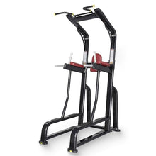 RYAN SHERWOOD Power Tower - Commercial Chin Dip Station with Vertical Knee Raise, 275 lb Capacity