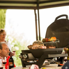 Napoleon Propane Gas Grill