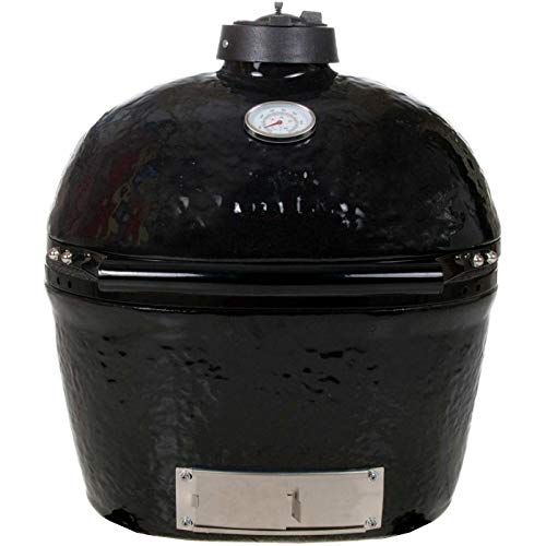 Primo Ceramic Charcoal Smoker Grill Oval Junior Black