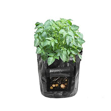 Plant Grow Bags Home Garden Potato Pot Greenhouse Vegetable Growing Bags Moisturizing Jardin Vertical Garden Bag Seedling (Size : 7 US Gallon 30x35CM) (10 US Gallon 34x45CM)