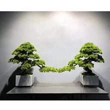 ntumLeap Faux Plants Simulation Welcome Pine Bonsai New Chinese Podocarpus Green Plants Landscaping Living Room Home Porch Decoration Decoration Gifts Artificial Potted Plants