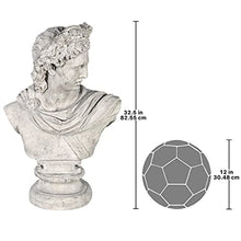 Design Toscano Apollo Belvedere Sculptural Bust