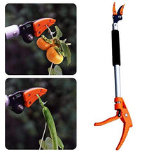 Pruning Shears, Garden Loppers Long Handle 0.6-1M Extra Long Telescopic Fruit Picker Tree Cutter Garden Supplies Quality Gardening Tool (0.8m) (1 M)