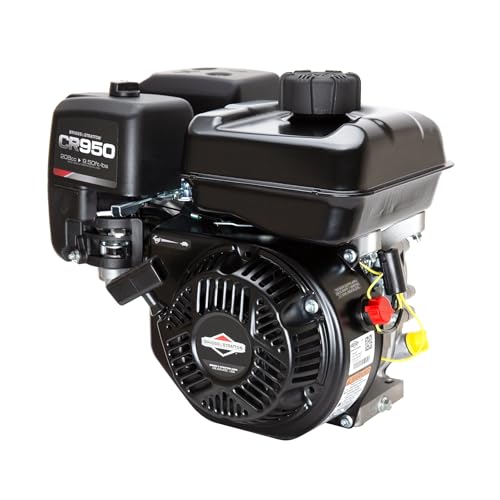 Briggs and Stratton 13R232-0001-F1 Engine,Black,14.5 x 12 x 13.5 inches