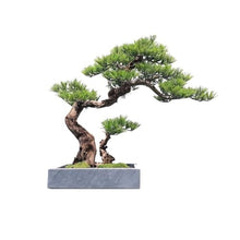 YXIANG56Q Fake Plants Modern Simulation Pine Tree Bonsai Creative Entryway Corner Decoration Fake Tree Greenery Ornaments Living Room Ornaments Bonsai Tree