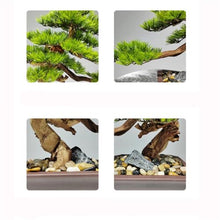 MVUYO Simulated Plant Bonsai Potted Plant Pine Tree Flower Ware Home Decoration Living Room Decoration and Decorations