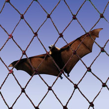 Bird B Gone Heavy Duty Bat Netting, 3/8" Mesh, 25' x 25'