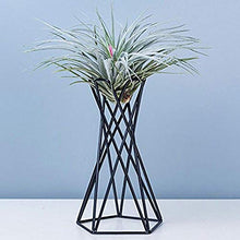 SIDUFHAOPKLL Flower Racks Rustic Tabletop Mount Hanging Irregular Geometric Iron Tillandsia Art Plants Holder Rack Black Containers Home Tool