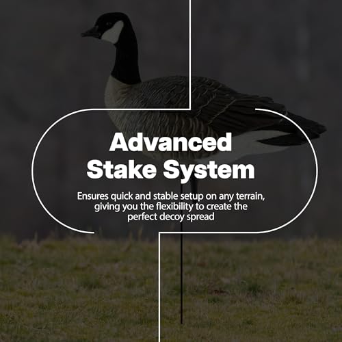 Avian-X AXP Honkers Fusion Pack Lesser Goose Decoys 5+6 Piece Set