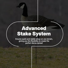 Avian-X Lessers 6 Piece Fusion Goose Decoy Set Multicolor