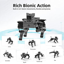XiaoR Geek Smart Robot Dog Kit Black