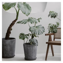 WOAITIANTIAN Flower Pots Straight Slant Round Cement Plant Pot Wide Mouth Home Large Diameter Flower Pots(Medium)