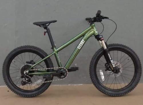 Cleary Bikes Scout 20 Inch 9 Speed Kids MTN Bike Intergalactic Green