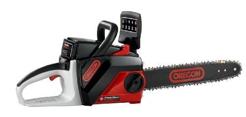 OREGON CORDLESS 40 Volt MAX CS250-S6 Chain Saw Kit with 1.25 Ah Battery Pack