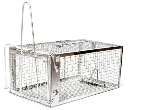 AB Traps Quality Live Animal Humane Trap for Rats, Mice, and Rodents - Small 10.5" x 5.5" x 4.5" 100-Pack