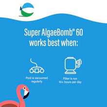 poolife Super Algae Bomb 60 (1 qt) (12 Pack)