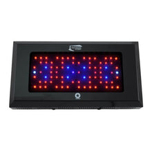 Lighthouse Hydro BlackStar Flowering LED Grow Light, 240-watt