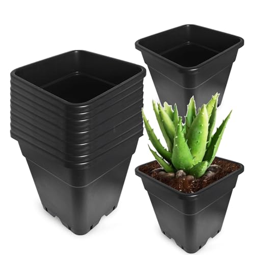 Compatible with 5 Gallon Square Pot 10 Pcs Plastic Plant Pots Flexible Nursery Planter Suitable for Flower Vegetables Succulents Black