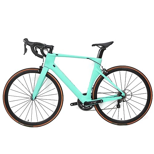 Hearts Bio Carbon Road Bike Model H Tiagra 20s 18.5 lb HeartsTeal