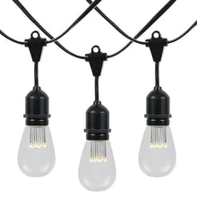 100 Foot S14 Edison Outdoor String Lights, 50 LED Bulbs, Waterproof