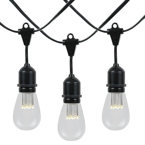100 Foot S14 Edison Outdoor String Lights, 50 LED Bulbs, Waterproof