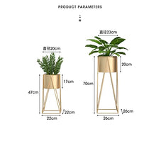 iumLeap 2-Pack Flower Stand,Living Room Iron Flowerpot Balcony Decorate Shelf,Hall Simple Succulent Plants Floor-Standing Rack Outdoor