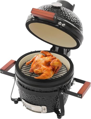 Portable Ceramic Charcoal Grill and Smoker,12.6 Inch Outdoor Bbq Oven with 20mm Thick Walls,50-800°f,for Patio,Camping,Picnic