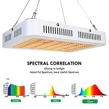 Led Grow Light Plant Grow Light Led Plant Growth Light Sunlight Natural Light Green Succulent Fill Light