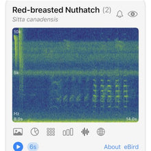 Haikubox Bird Song & Call Identifier: 24/7 backyard sound identification