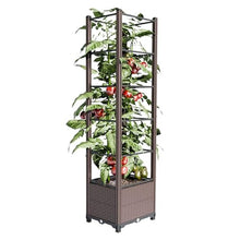 Raised Garden Bed with Trellis, Planter Box with Drainage, Vertical Garden Planter for Outdoor Growing Climbing Plants, Vegetables, Flowers, Fruits
