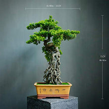YXIANG56Q Fake Plants Grade Simulation Welcome to Tree Tree Bonsai Hotel Office Tea Several Live Hall Extreme Decoration Beautiful Items Bonsai Tree(A)