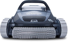 Dolphin Quantum Robotic Inground Pool Cleaner
