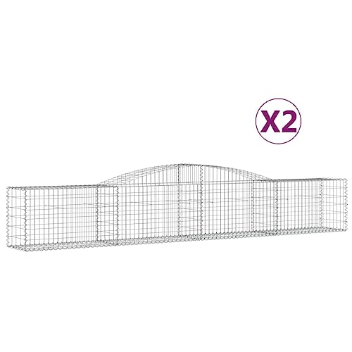 Arched Gabion Baskets 2 pcs Galvanized Iron for Outdoor Plants White Black