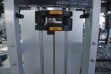 French Fitness Shasta Assisted Chin Dip (New)
