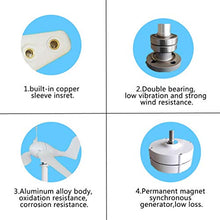 12/24/48V 2600W AC Permanent Wind Turbine Generator 5-Blades Household Power Generator W/Controller for Solar Streetlight 48v (12v)