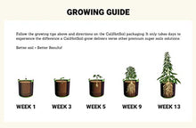 THEBUDGROWER Complete Grow Tent Kit - 300 Watt LED Grow Light, Rope Hangers, Grow Plant Pot Soil, Heat & Humidity Monitor, Electronic Timer & More - Easy Indoor Setup Grow Kits