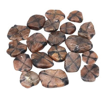 Outdoor Decorative Stones Natural Malachite Turquoise Quartz Crystals and Healing Stones Tumbled Bulk Mineral Specime Gemstones Home Aquarium Decoration Rocks for Planters(Sunstone,1000g)