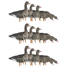 Avian-X AXP Specklebelly Decoy Fusion Pack 18 Pack