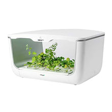HamiltonBuhl HGLITE Next-Generation Hydroponic LED GrowLight for STEAM Education, 28 Planting Vacancy, Uses Hydroponics and Nutrient Solutions, Easy Set Day/Night Timer, Full Spectrum LED System